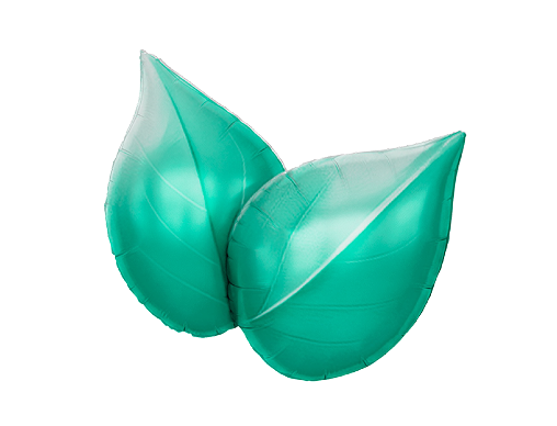 Leaf